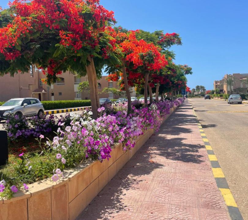Photo of Others in Dawwar Saqr