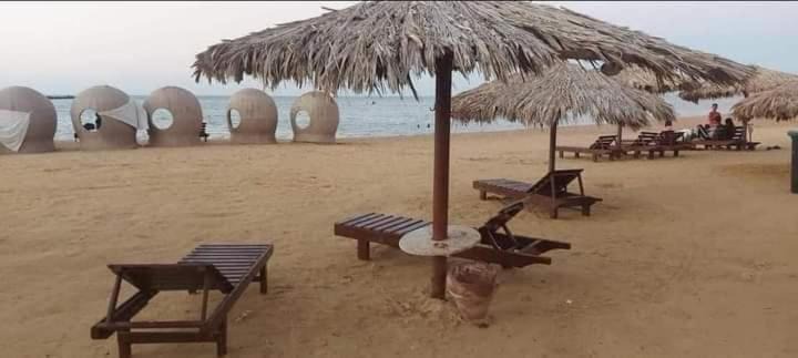 Photo of Others in Al Ahyaa