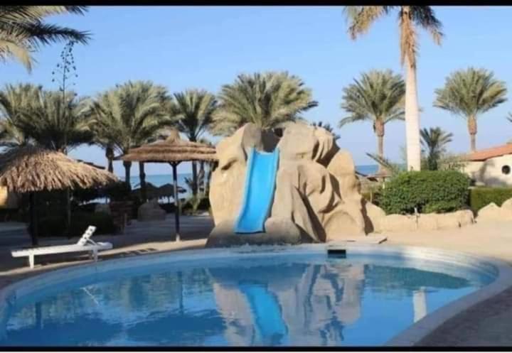 Photo of Others in Al Ahyaa