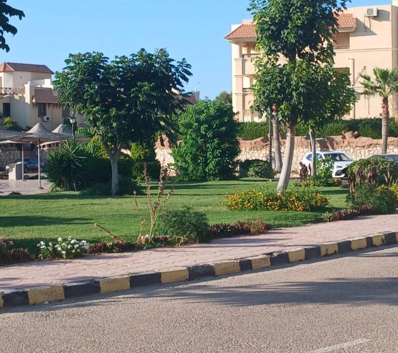 Photo of Others in Al-Hammam