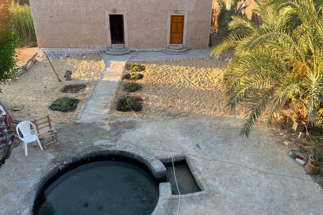 Photo of Others in Siwa