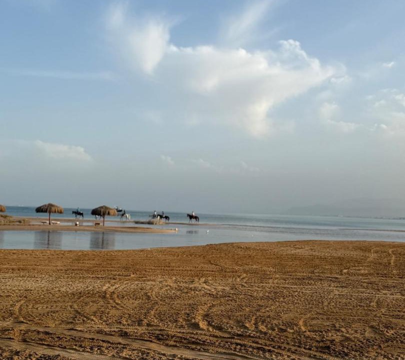 Photo of Others in Soma Bay