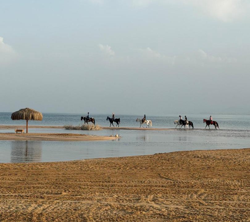 Photo of Others in Soma Bay