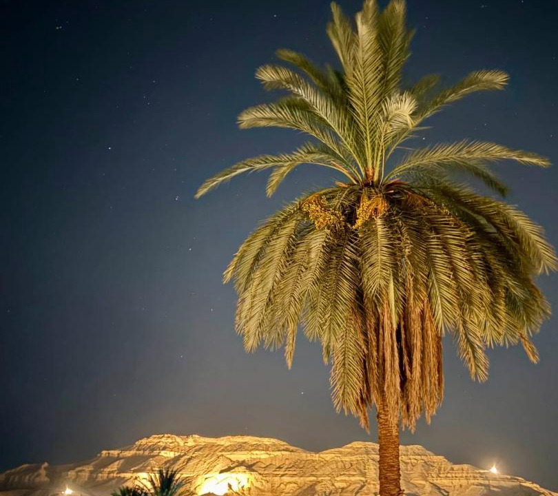 Photo of Others in Luxor