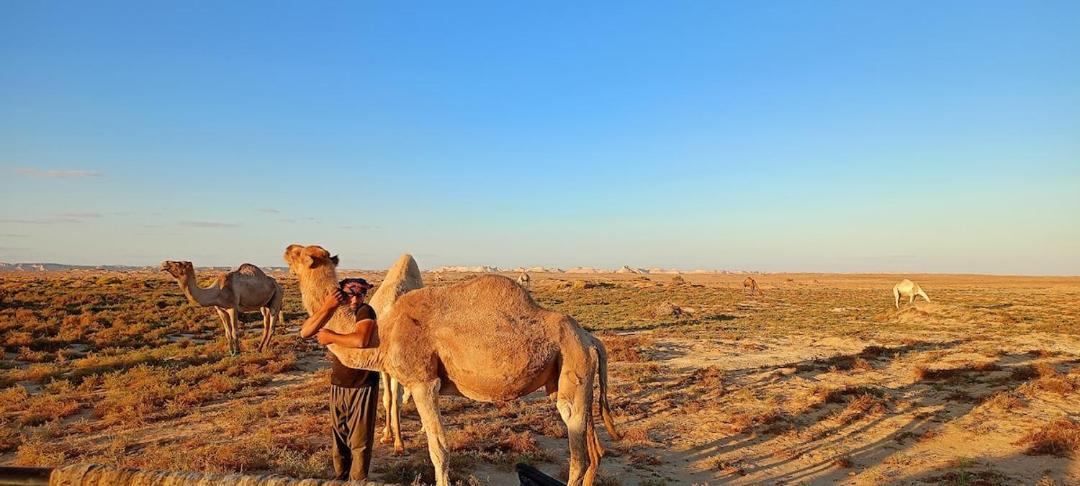Photo of Others in Bawati