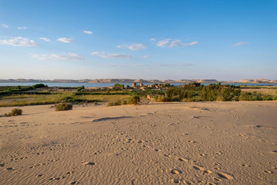 Photo of Others in Siwa