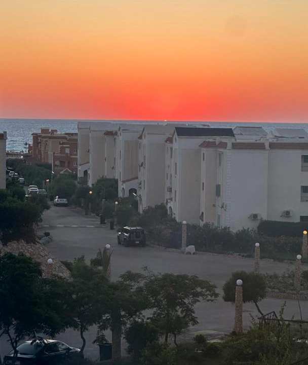 Photo of Others in Borg el Arab