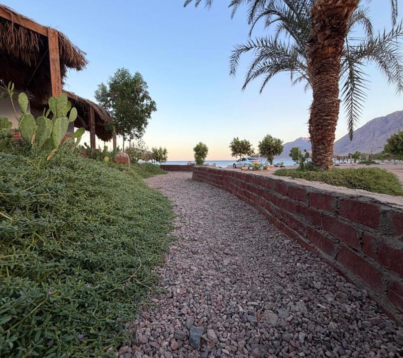 Photo of Others in Nuweiba