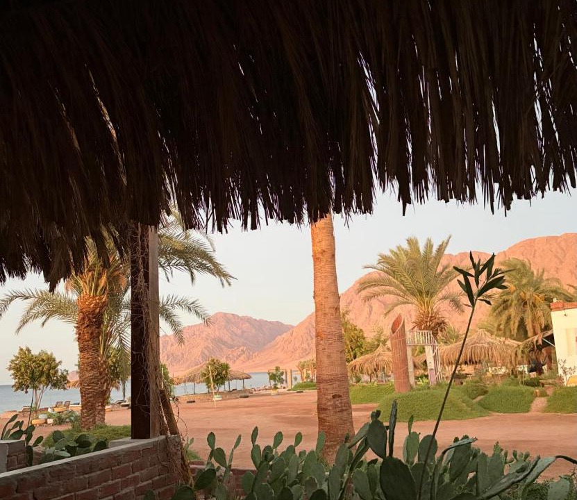 Photo of Others in Nuweiba