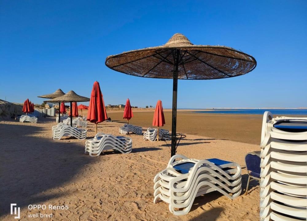 Photo of Others in Sharm El Sheikh