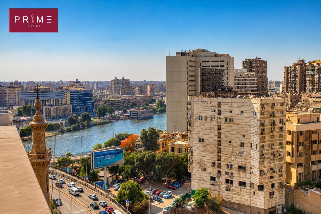 Photo of Others in Zamalek