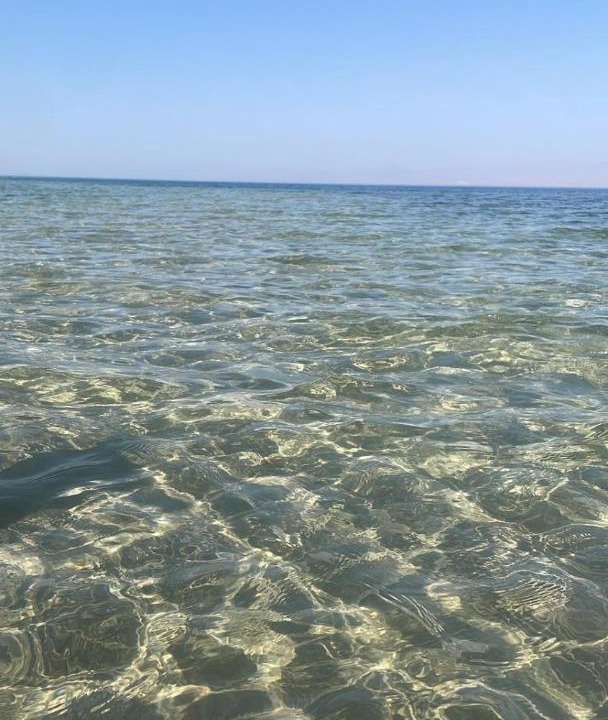 Photo of Others in Nuweiba