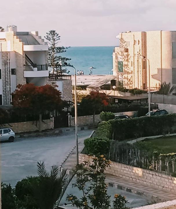Photo of Others in Marina El Alamein
