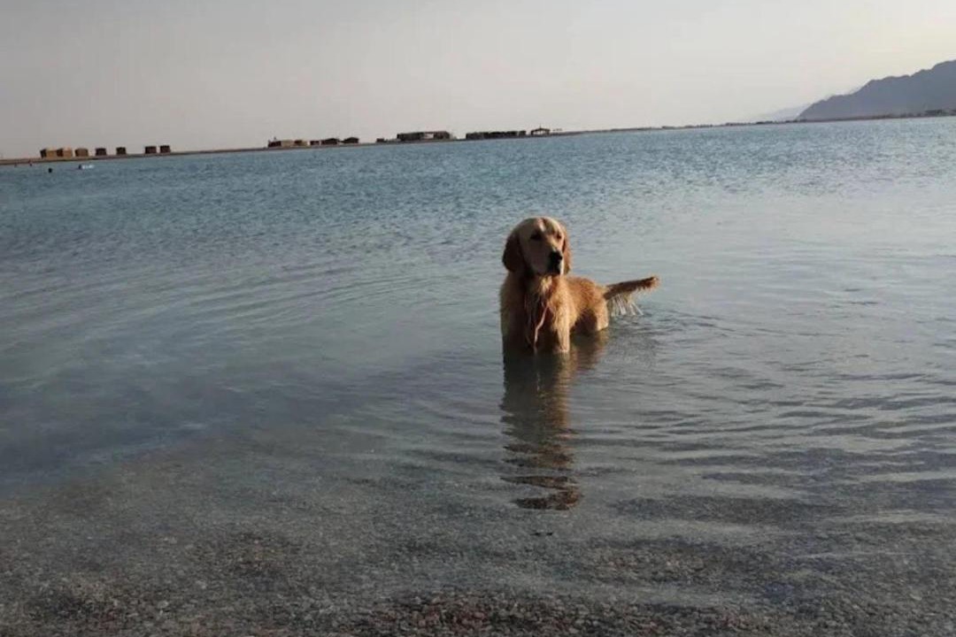 Photo of Others in Dahab