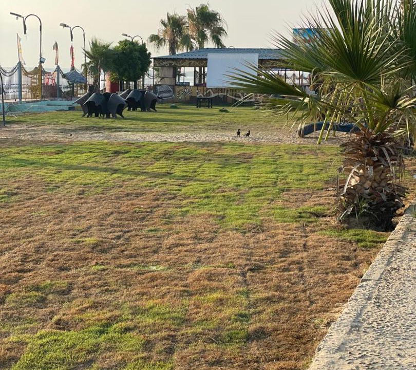 Photo of Others in Ismailia