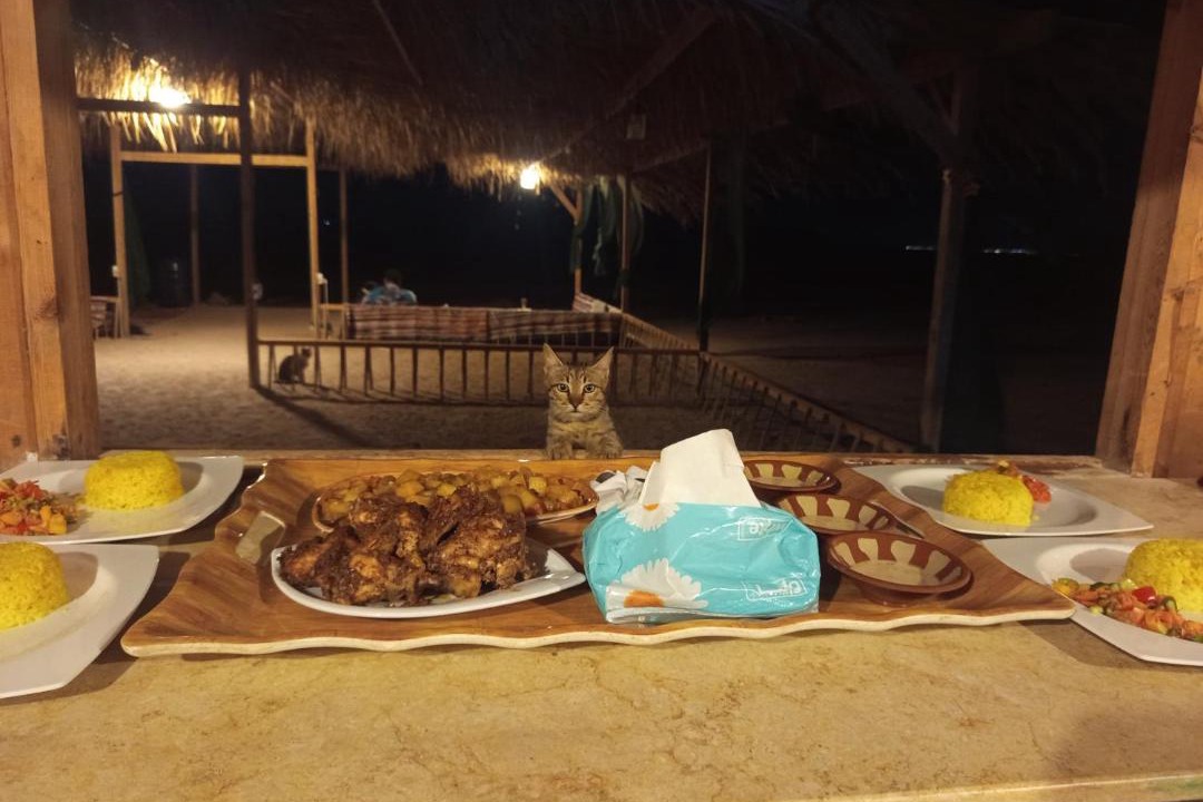 Photo of Others in Dahab