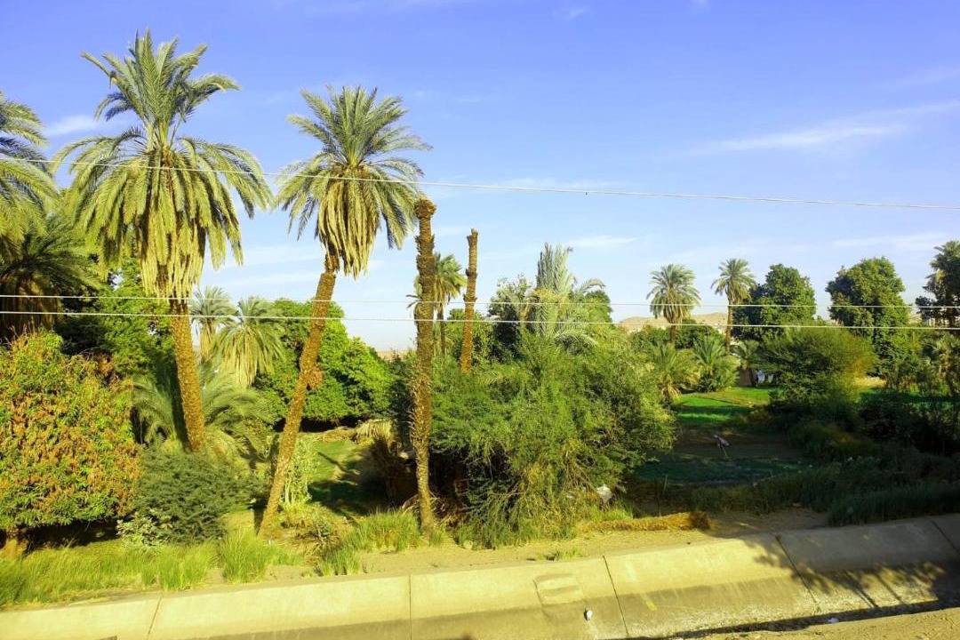 Photo of Others in Aswan