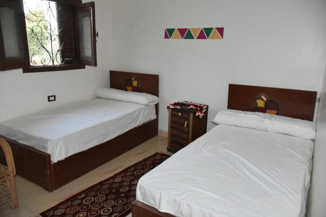 Photo of Bedroom in Aswan