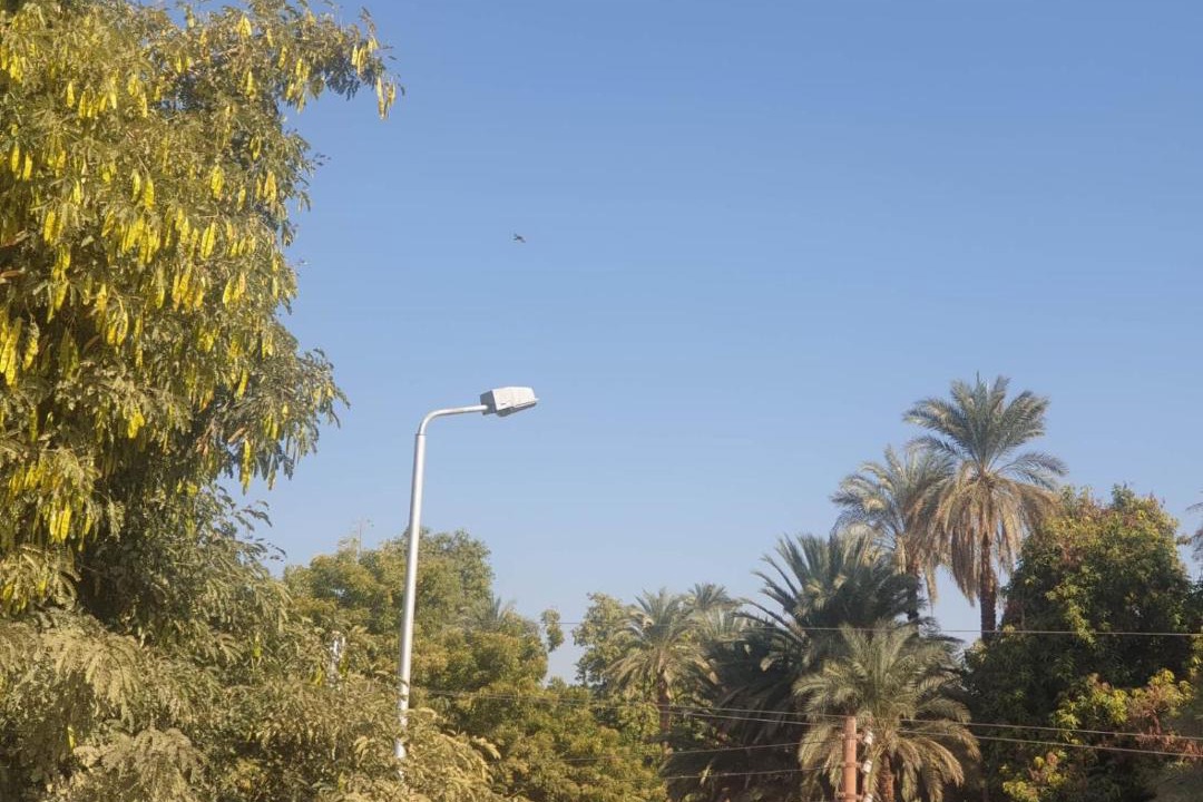 Photo of Others in Aswan