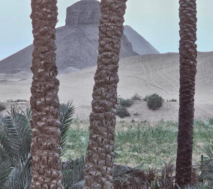 Photo of Others in Al-Badrashayn