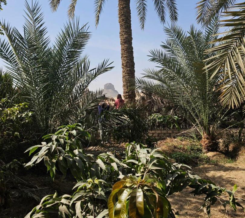 Photo of Others in Al-Badrashayn