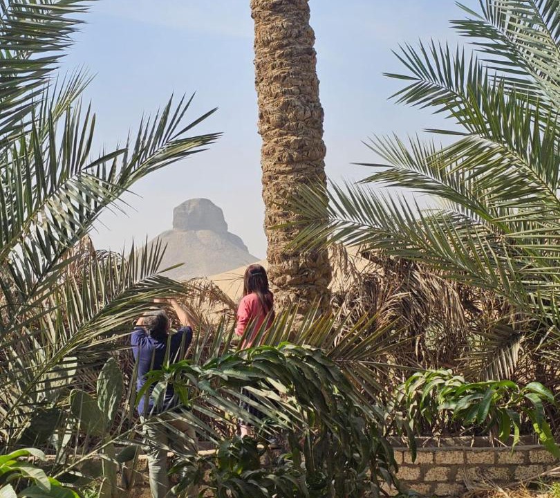 Photo of Others in Al-Badrashayn