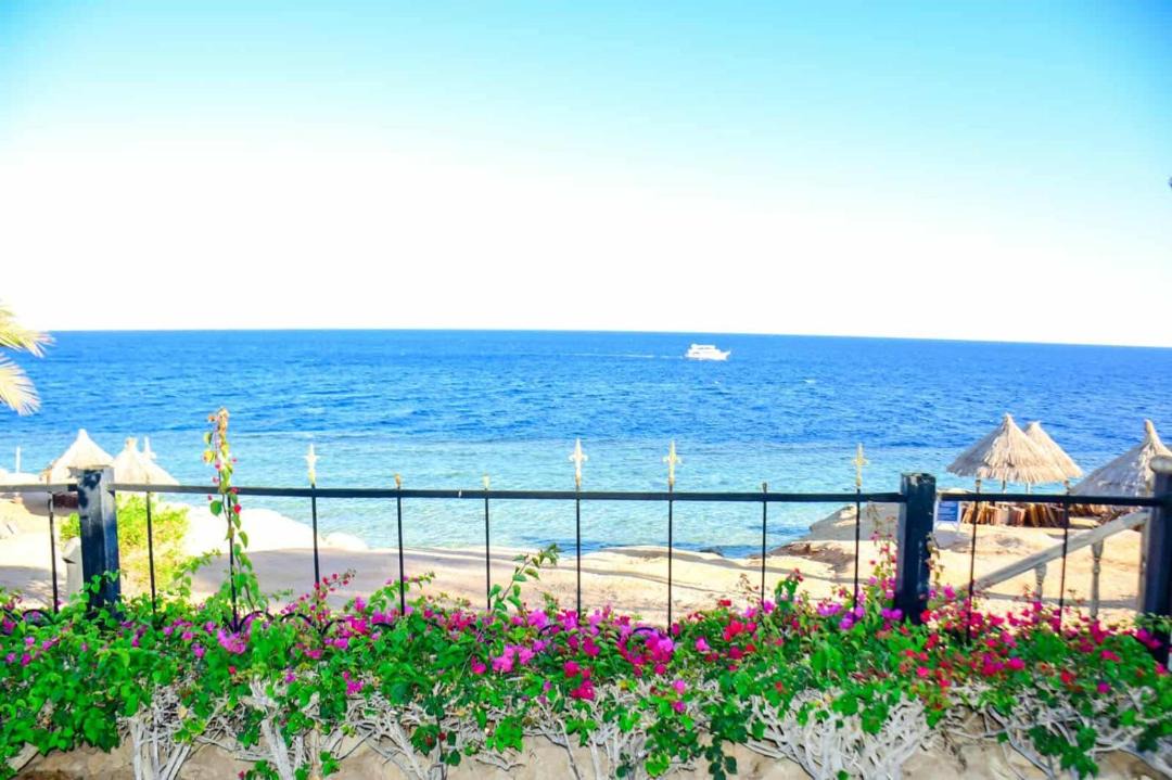 Photo of Others in Sharm El Sheikh