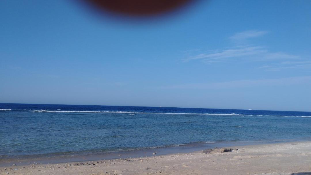 Photo of Others in Port Ghalib