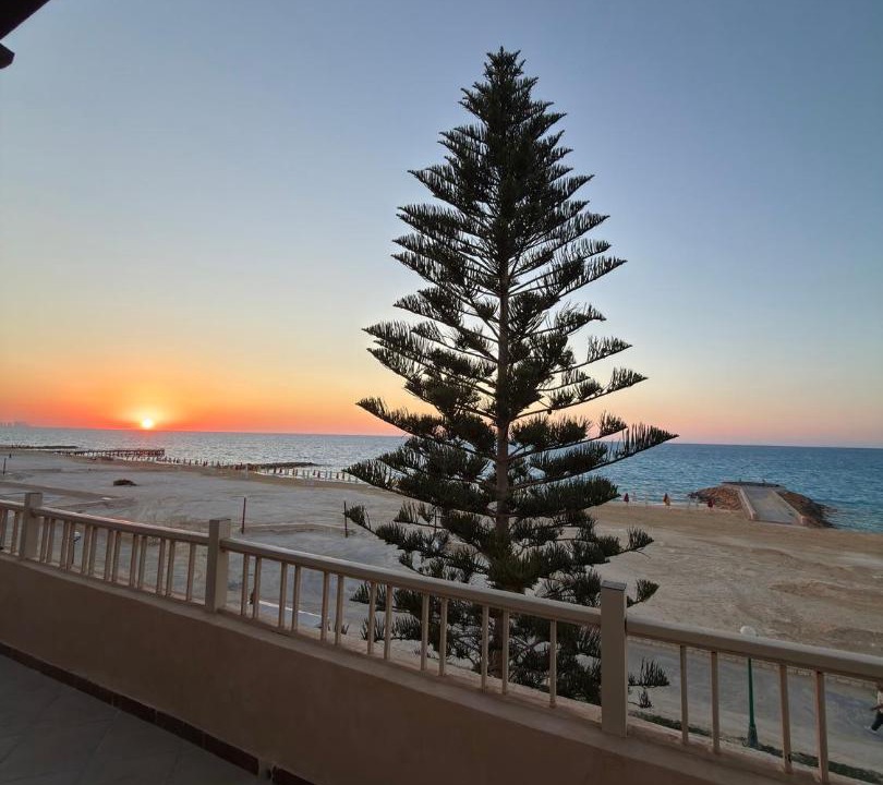 Photo of Others in Marina El Alamein