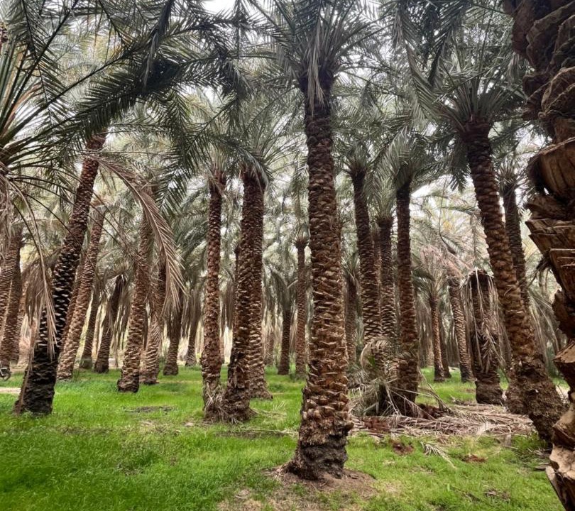 Photo of Others in Bawati
