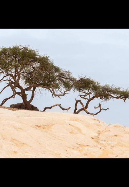Photo of Others in Bawati