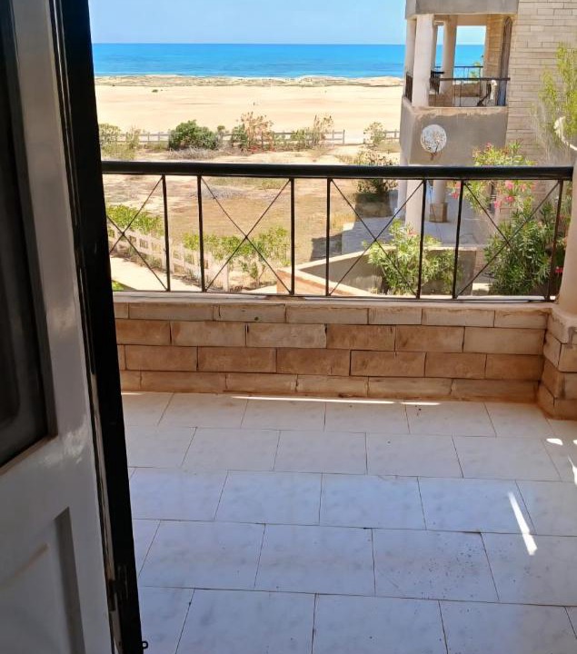 Photo of Others in Marsa Matruh
