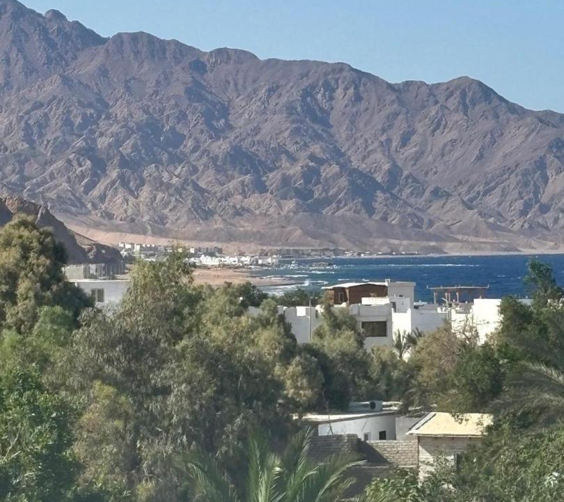 Photo of Others in Dahab