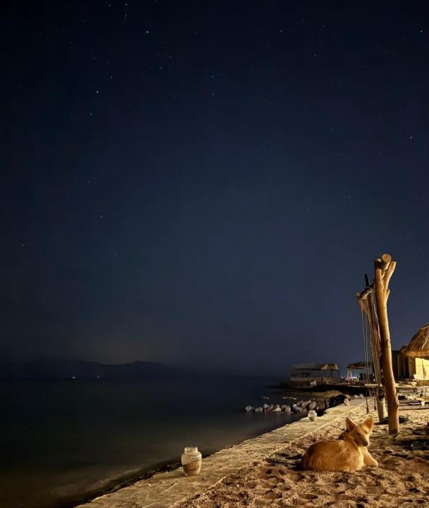 Photo of Others in Nuweiba