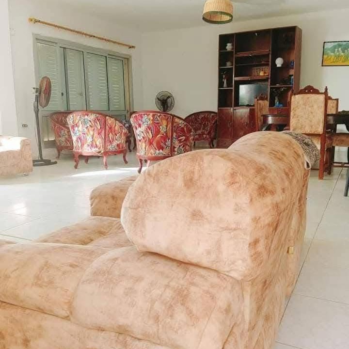 Photo of Livingroom in Borg el Arab