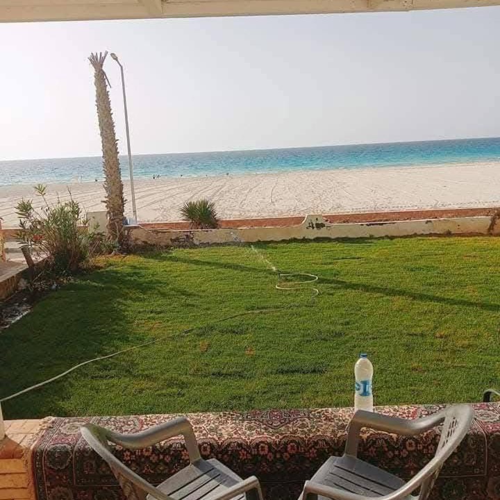 Photo of Others in Borg el Arab