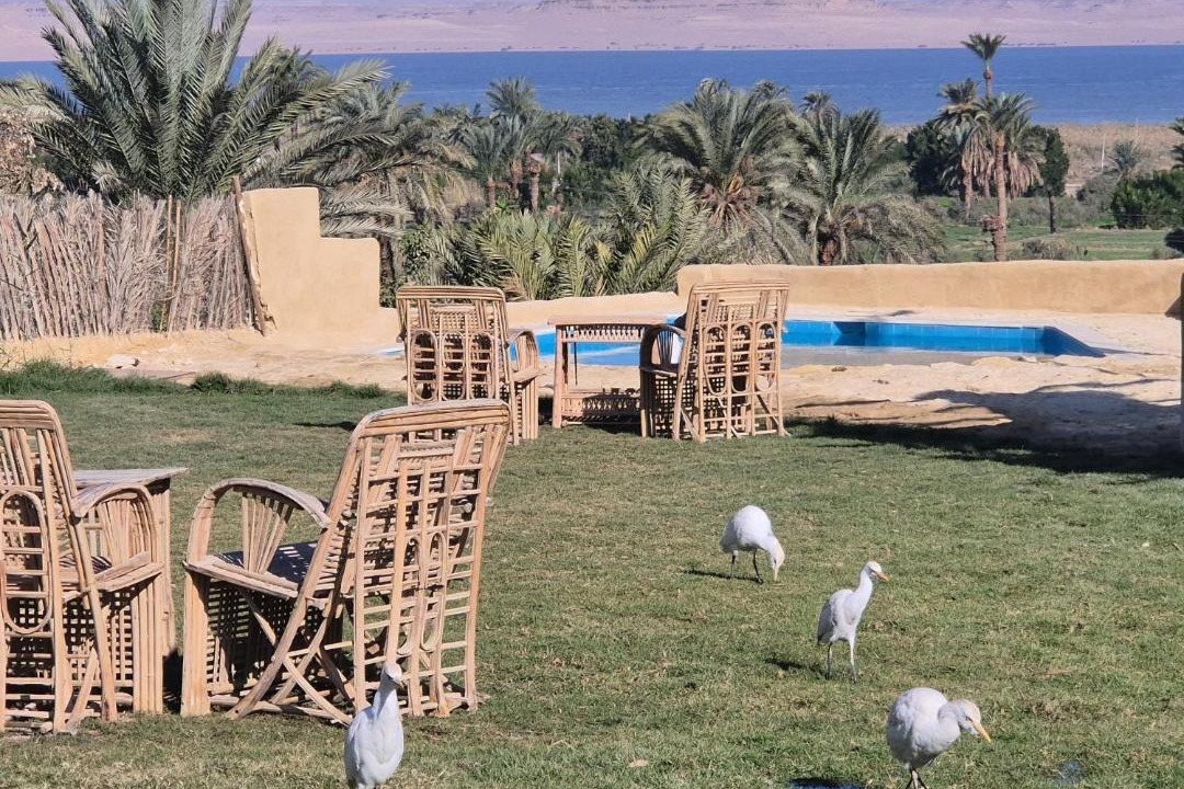 Photo of Others in Tunis Village