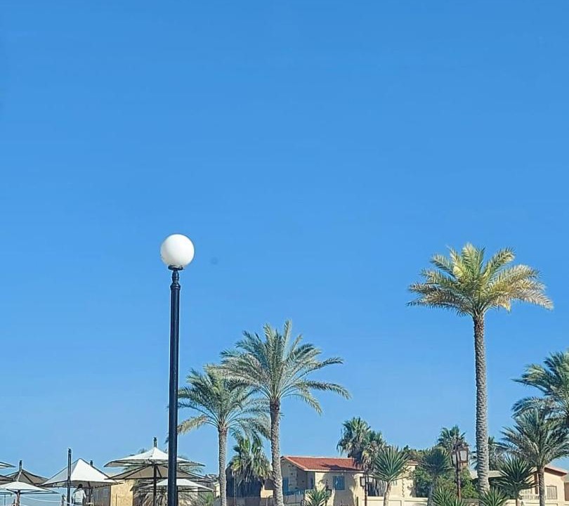 Photo of Others in Al Arish