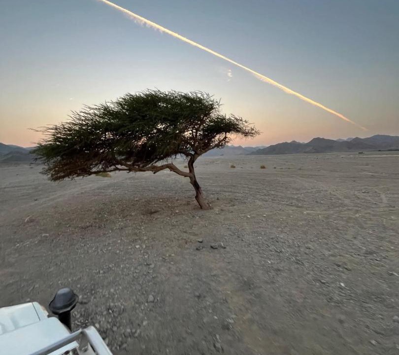 Photo of Others in Marsa Alam
