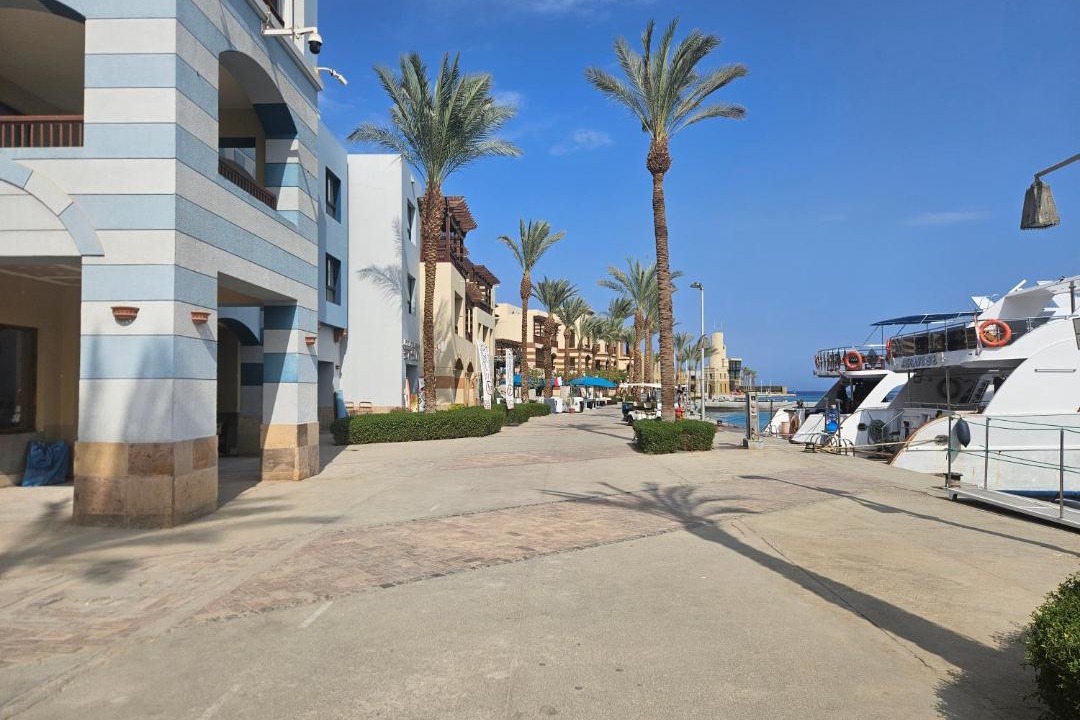Photo of Others in Port Ghalib