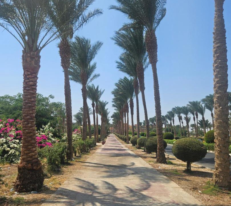 Photo of Others in Port Ghalib