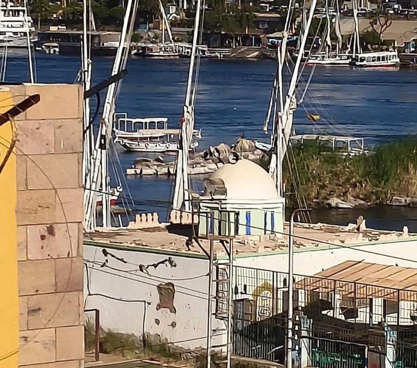 Photo of Others in Aswan
