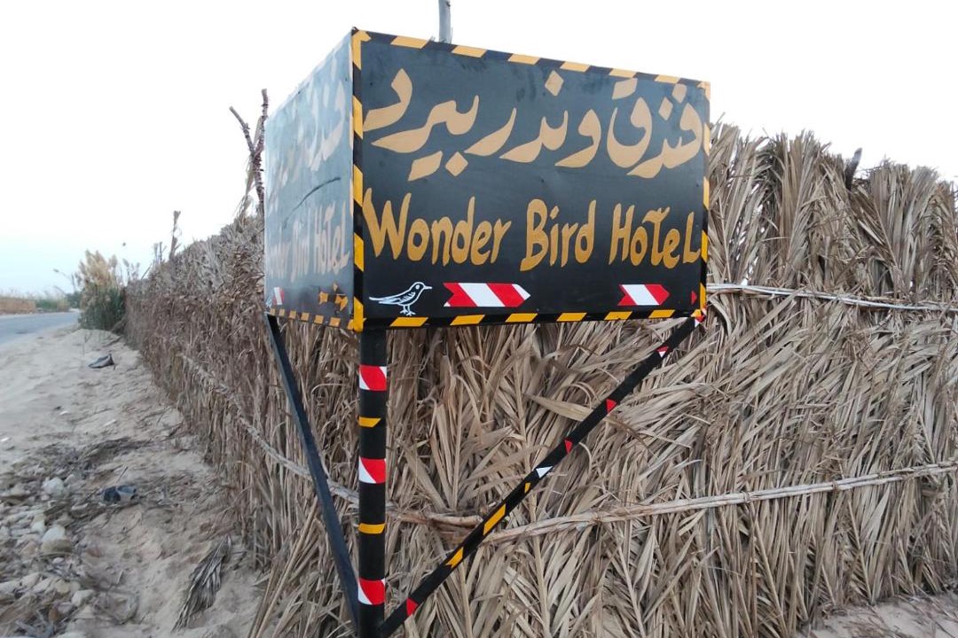 Photo of Others in Siwa