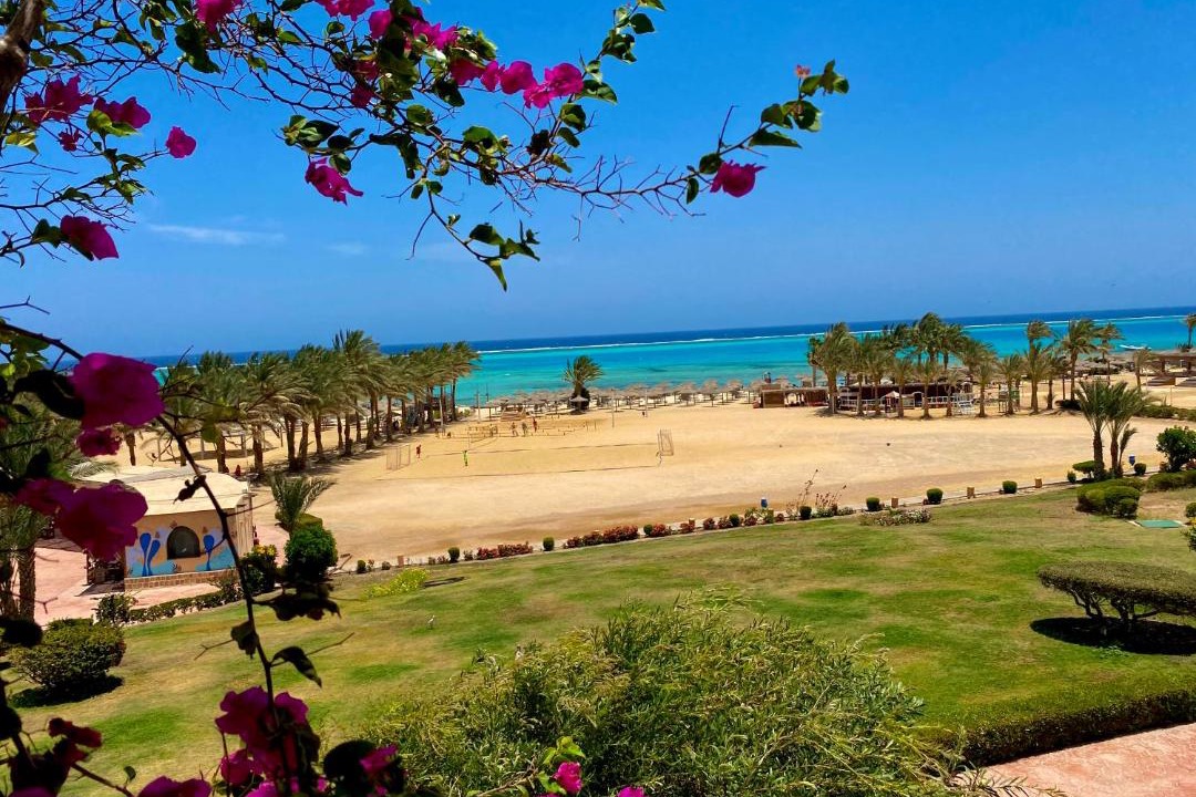 Photo of Others in Marsa Alam