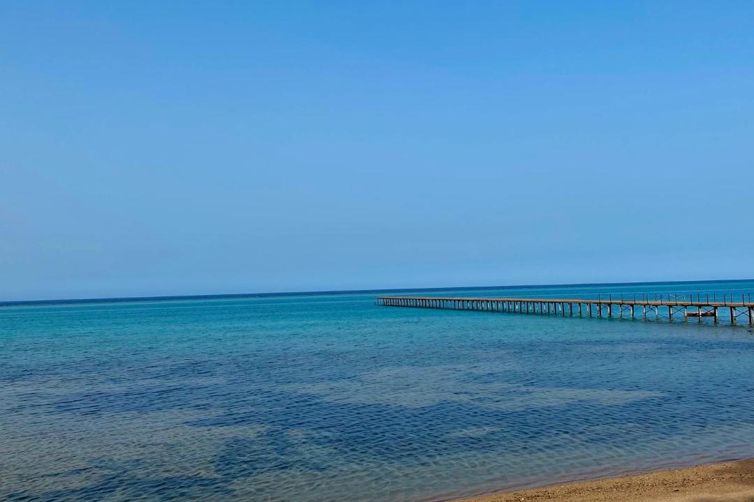 Photo of Others in Marsa Alam
