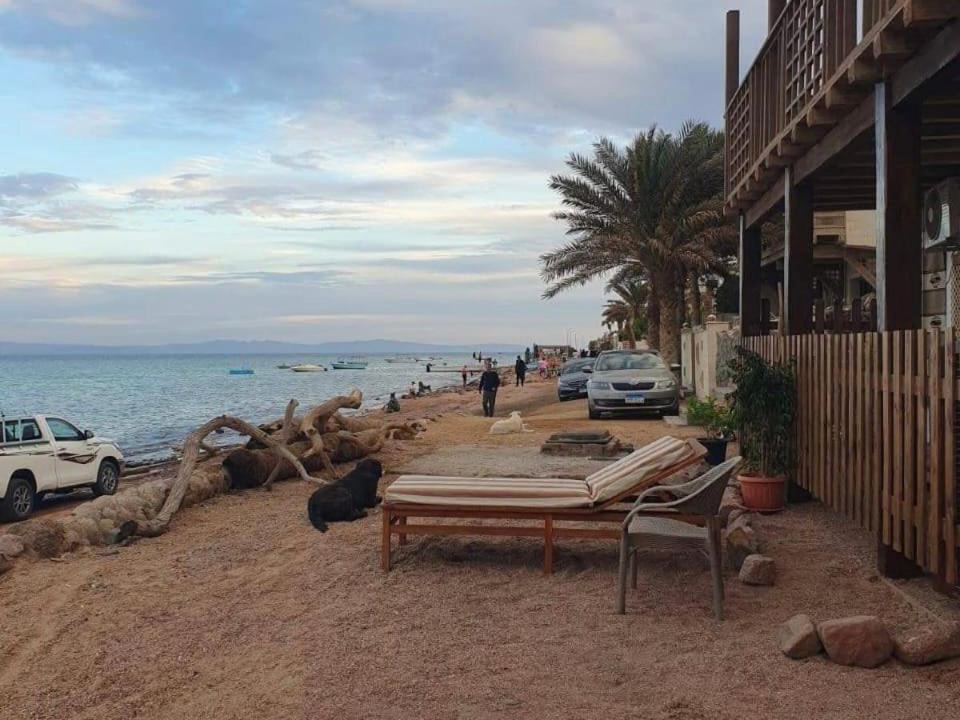 Photo of Others in Dahab