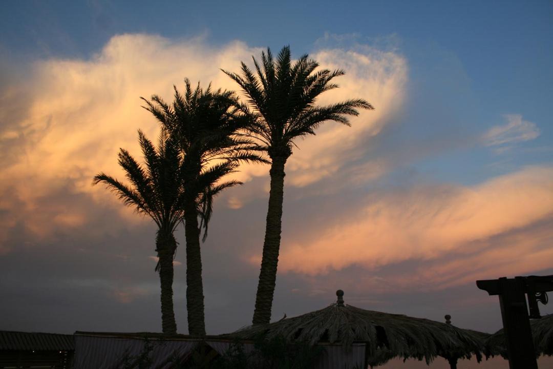 Photo of Others in Dahab