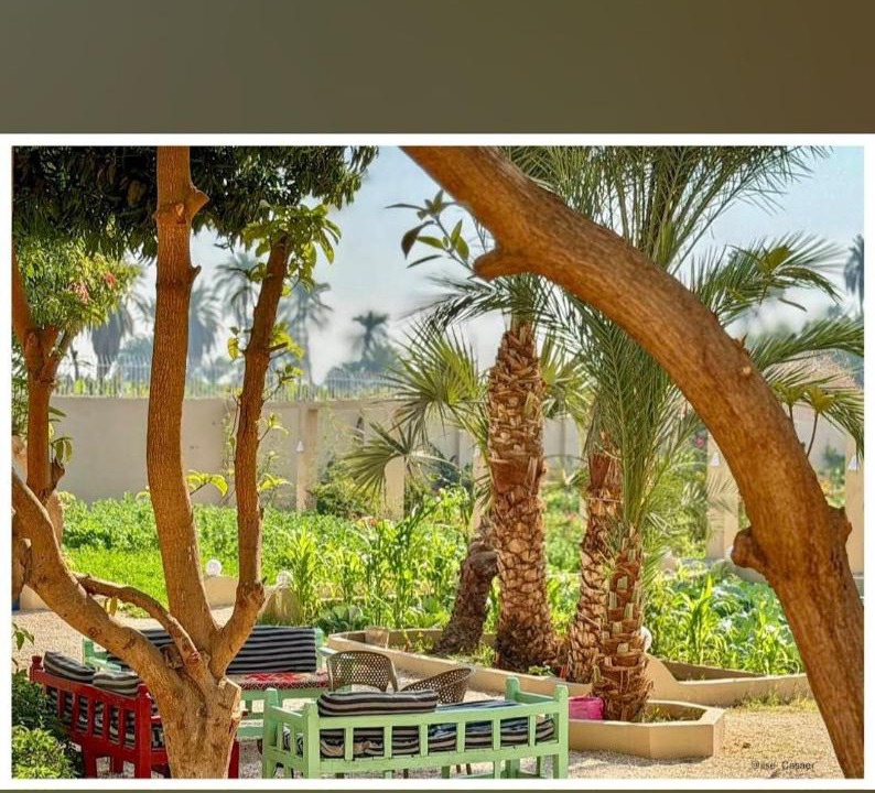 Photo of Others in Luxor