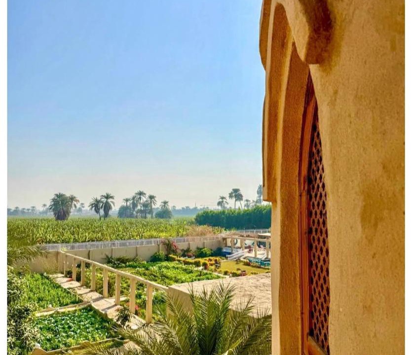 Photo of Others in Luxor