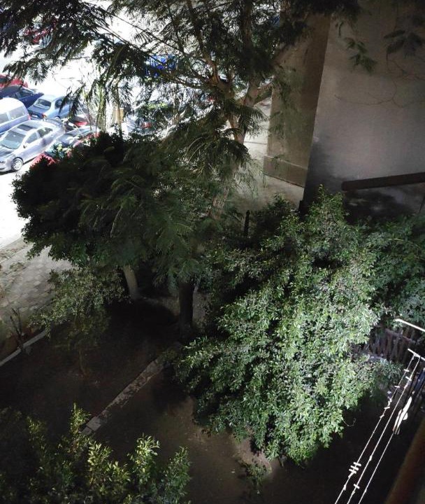 Photo of Others in Nasr City